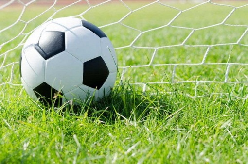 Приглашаем на просмотр!