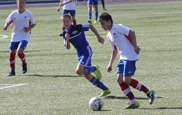 a3.jpg a3.jpg